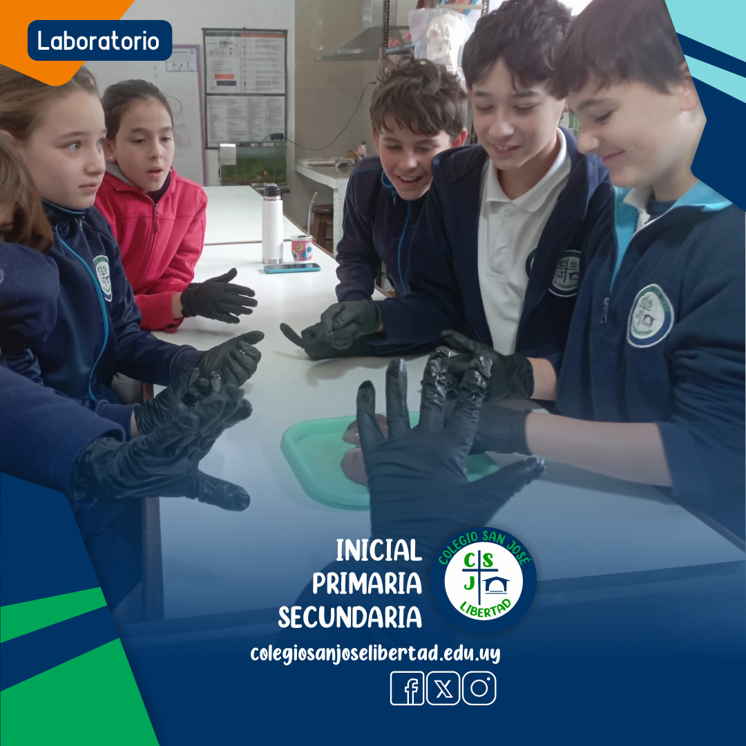VISITA AL LABORATORIO